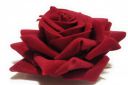 JAK STORE Rose Brooch Floral Hair Clip for Women...