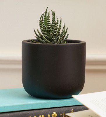 Purezento Jeanie Black Terracotta Desk Pot
