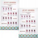 Just Herbs Ayurvedic Lipstick Micro-Mini Kit - 16 Shades Pack Of 2 (Multicolor, 14 g)...