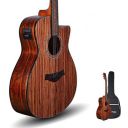 Kadence Acoustica A05 semi acoustic guitar Zebra Wood with Bag...