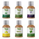 Kalp Citronella Essential Oil, Eucalyptus Essential Oil, Lavender Essential Oil, Lemon Essential Oil, Lemongrass Essential Oil, Peppermint Essential Oil (Pack of 6, 15 ml Each, 90 ml Total) - CELLLP...