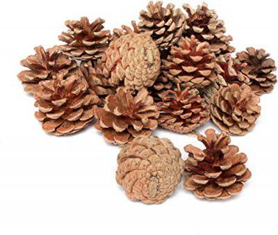 Kapoor Crafts 12 Pcs Christmas Decoration Wooden Pine Cones Hanging Ornaments Bauble Xmas New Year Festival Party Decoration (Pack of 12)