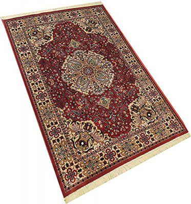 Hi-Fi Carpets Kashmiri Traditional Silk Touch Carpet (INSUBSTANTIAL) 3 Feet by 5 Feet (90x150cm) Color-Multi