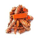 KC ENTERPRISES HALDI GATIYA ORGANIC KISAN TURMERIC SEEDS KHACHI HALDI (300 GM) FOR HOME KITCHEN GARDENING GERMINATION…...