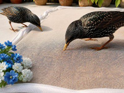 KENRESH Mesh Food Drying Cover Net with Zipper Closure (28 X 38 INCHES)