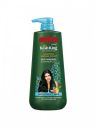 Kesh King Ayurvedic Hairfall Expert Anti Dandruff Shampoo - 600 ml...