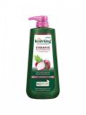 Kesh King Scalp & Hair Medicine Ayurvedic Hairfall Expert Onion Shampoo 600 ml...