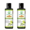 Khadi Organic and Natural Amla & Bhringraj Shampoo Strengthens Hair, Promotes Growth, and Reduces Dandruff By Bhudevam Naturals | Pack of 2...