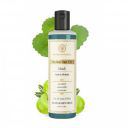 Khadi Organic Khadi Natural Herbal Amla Hair Oil 210ml ...