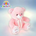 Kiddie Castle Sitting Teddy 32cm With Ribbon Bow - 32 cm  (Pink)...