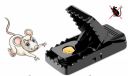 KNOCK DOWN Rat Trap for mice control Rat/Mouse/Rodent Trap...