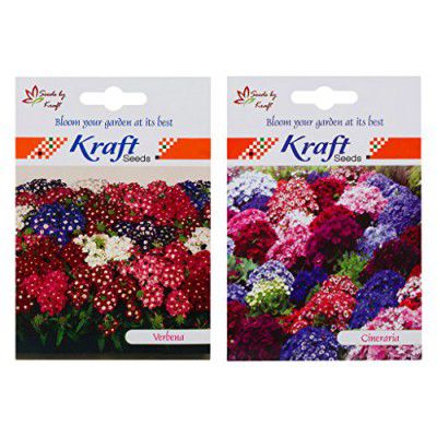 Kraft Seeds 2 in 1 Cineraria Hybrid Starlet Mix and Verbena Hybrid Mix Flower Seed Packet