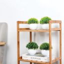 Kuber Industries 4 Pcs Set Plastic Mini Bonsai Artificial Plants | Puffy - White...