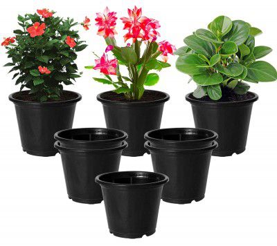 Kuber Industries Durable Plastic Flower Pot | Gamla (Pack of 8)