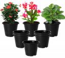 Kuber Industries Durable Plastic Flower Pot | Gamla (Pack of 8)...