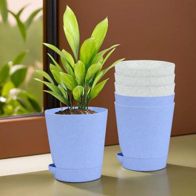 Kuber Industries Pack of 6 Flower Pot 