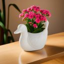Kuber Industries Plastic Duck Shape Small Plant Pot ...
