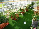 Kuber Industries PVC 45 MM Grass Mat for Balcony - 40x120 Green...