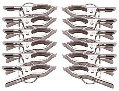 Kuber Industries Stainless Steel Cloth Drying Pegs/Clips Set of 12 Pcs/Silver