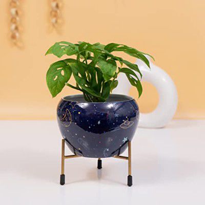 Kyari Decorative Space Design Planter Pot with Tripod Metal Stand for Home and Garden Use | Rust Free Gamla/Vase | Size: H 10 * 13 Cm; Stand H 7 Cm | Single Set | Plants Not Included