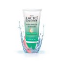 Lacto Calamine Aloe Vera Gel - 150 g...