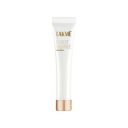 Lakme Absolute Perfect Radiance Skin Brightening Day Creme 15 g...