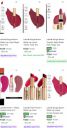 UP TO 86% OFF | Lakme Beauty products...