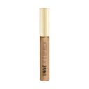 Lakme Makeup+Skincare Vit C Superglow Concealer 24 Beige | 5.4ml...