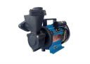 Lakshmi 0.5 HP Self Priming Mono Block Water Pump...