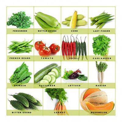 Leafy Tales 15 Varieties of Vegetable & Fruits Seeds for Kitchen Garden - 1000+ Seeds | Easy to Grow (Seed - 15)
