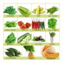Leafy Tales 15 Varieties of Vegetable & Fruits Seeds for Kitchen Garden - 1000+ Seeds | Easy to Grow (Seed - 15)...