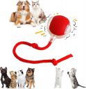 LEAFZY Smart Rolling LED Pet Ball – USB Charging...