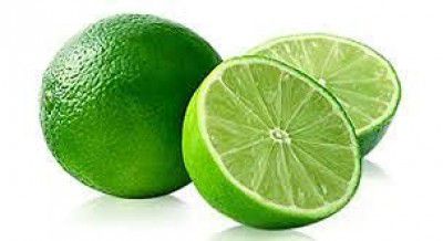 Lemon Live Plant