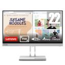 Lenovo L-Series (21.4") | FHD Ultraslim Monitor, L22e-40...