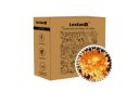 Lexton 40 Feet LED Decorative String Light | Orange | Plug Sourced | Pack of 1...