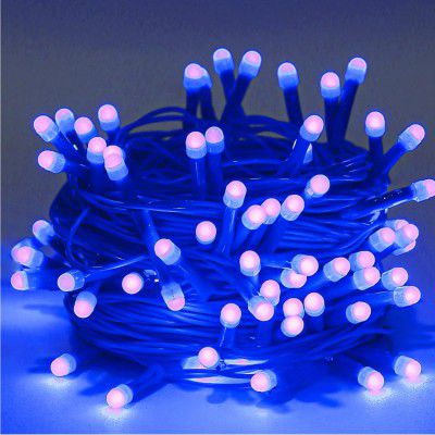 Lexton 40 LED Power Pixel Serial String/Fairy Light
