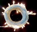 Lexton Decorative 10 Meter Rice Light (White)...