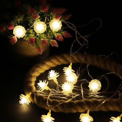 Lexton Fairy 14 Flower LED String Light | 14 LED, Plug Sourced, 4 Meter Long (Warm White)