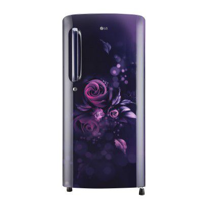 LG 190 Litres 5 Star Direct Cool Smart Inverter Single Door Refrigerator (GL-B201ABEZ.BBEZEB)
