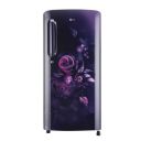 LG 190 Litres 5 Star Direct Cool Smart Inverter Single Door Refrigerator (GL-B201ABEZ.BBEZEB)...