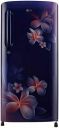 LG 190 L 3 Star Direct Cool Single Door Refrigerator (GL-B201ABPX.ABPZEBN)...