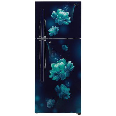 LG 260 Litres 2 Star Frost Free Inverter Double Door Refrigerator (GL-S292RBCY.DBCZEB)