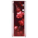 LG 270 Litres 3 Star Direct Cool Inverter Single Door Refrigerator (GL-B281BSCX.DSCZEB)...