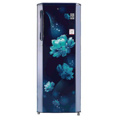 LG 270 Litres 3 Star Direct Cool Inverter Single Door Refrigerator (GL-B281BBCX.DBCZEB)