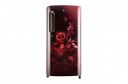 LG 190 L 5 Star Smart Inverter Direct-Cool Single Door Refrigerator (GL-B201ASEZ)...