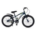 Lifelong 20T Cycle I Ideal for: Kids (5-8 Years)...