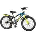 Lifelong LLBC2001 Tribe 20T Cycle...