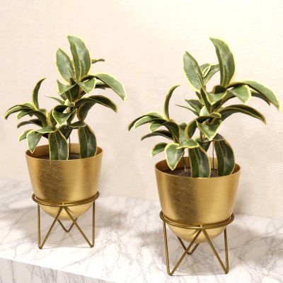 Lifelong Metal Set of 2 Plant Stand | Capacity 10Kg