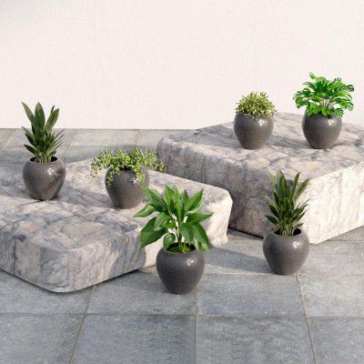 Lifelong Set of 6 Home Decor for Living Room & Balcony | 6 Inch Flower Pot