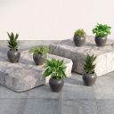 Lifelong Set of 6 Home Decor for Living Room & Balcony | 6 Inch Flower Pot...